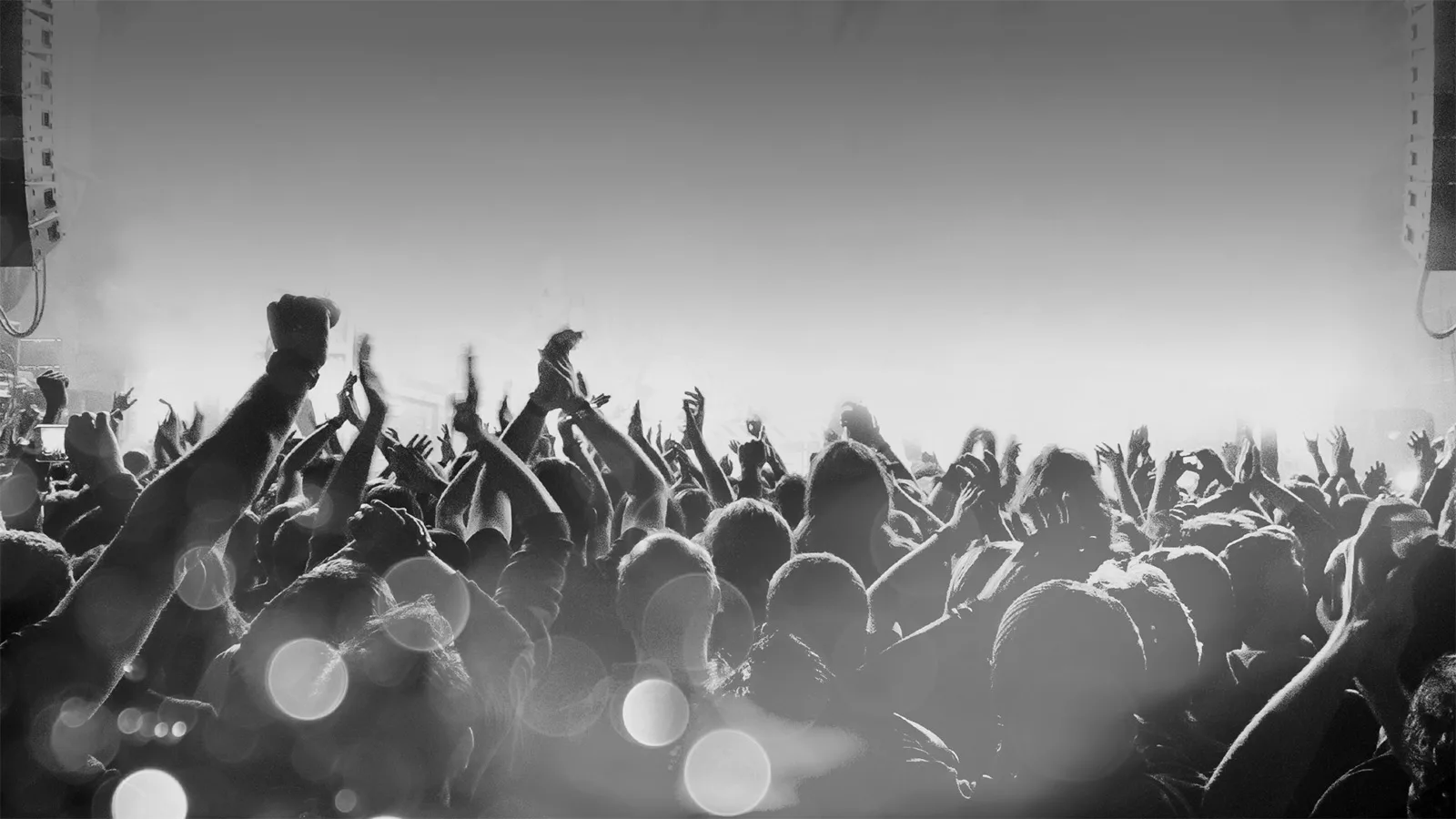 Ett publikhav framför en vit scen